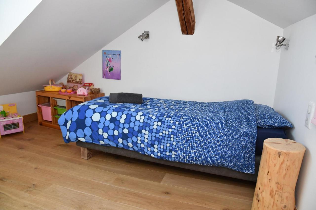 Au Cheval Blanc - Appartements Et Chambres D'Hotes Albertville Exterior photo